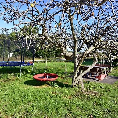 Silva B4-1 By Interhome Appartement