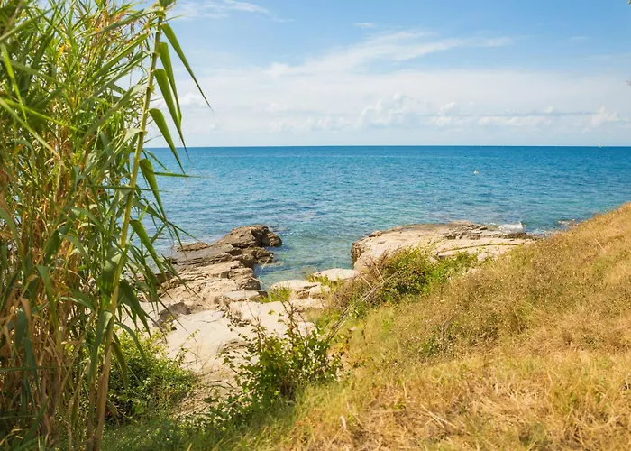 Silva B4-1 By Interhome Appartement *